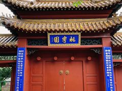-桃花堤公园
