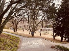 -青岛德国总督楼旧址博物馆