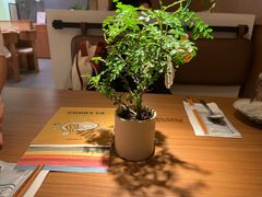 -CURRY YA 熟成咖哩專門店(深圳湾万象城店)