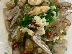蛏子-原味蒸汽海鲜(嵊泗店)