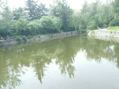 -咸阳湖景区-古渡公园