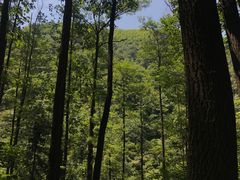 -藏龙百瀑风景区