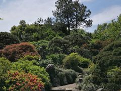 -西湖外事游船(花港观鱼码头)