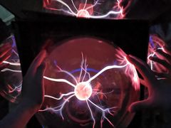 -陕西自然博物馆