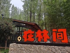 -林间山庄