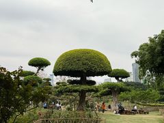 -南宁南湖公园