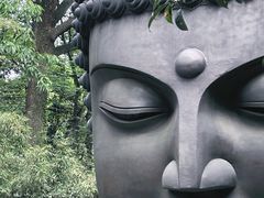 -杭州植物园