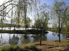 -东郊湿地公园
