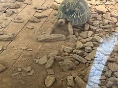 -宁波野生动物园