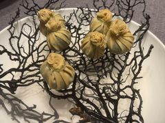 -桂满陇·海市蜃楼·黑金(国金店)