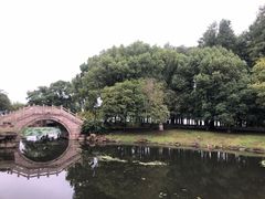 -明翠湖品·湖景餐厅