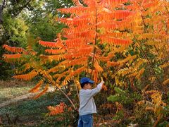 -北运河水利风景区