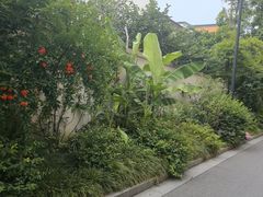 -乌村