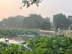 -南翠屏公园