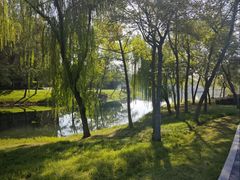 -贡湖湾湿地公园