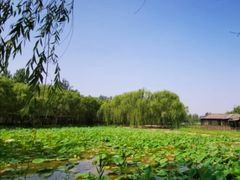 -杨柳青庄园