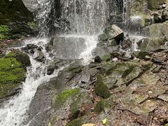 -本溪汤沟绿石谷森林公园