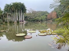 -中国科学院西双版纳热带植物园