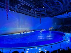 -上海海昌海洋公园