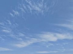 -长岛万鸟岛