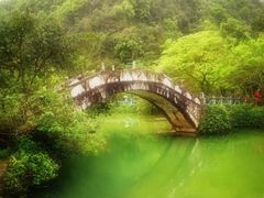 -靖西鹅泉风景区