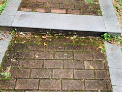 -广东外语外贸大学(白云山校区)