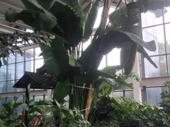 -太白山御龙湾温泉