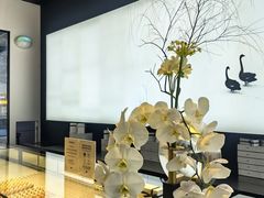 -BLACKSWAN黑天鹅(环球店)