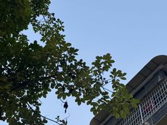 -汝萍传统蘸水菜(春华路总店)