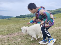 -塞罕坝国家级自然保护区