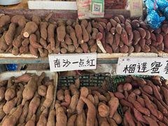 -大湾区中央湿地公园-十九涌