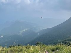 -白草畔自然风景区