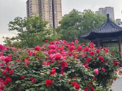 -咸阳湖景区