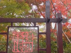 -北山街历史文化街区