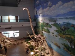 -自贡恐龙博物馆