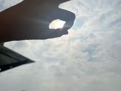 -金海湾滨江公园