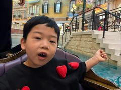 -澳门威尼斯人综合度假区