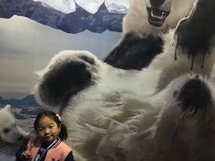 -锦艺城海洋馆