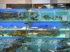 -永辉超市(郫都区爱琴海店)