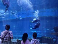 -华夏文旅海洋公园