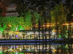 -荔湾湖公园