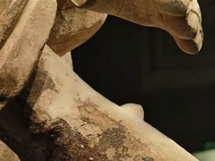 -秦始皇帝陵博物院(兵马俑)