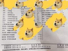 -上海市第四人民医院