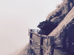 -罗田天堂寨风景区