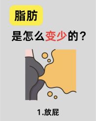 -Fundi张玉珊修身堂·indiba·BTL科技瘦身