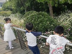 -水上明月·湖景餐厅