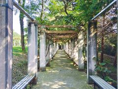 -青岛德国总督楼旧址博物馆