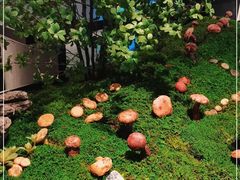 -外滩·云南人家(昆明旗舰店)