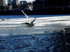 -大桥道糕点食品店(津塘路店)