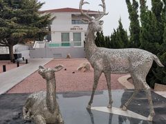 -青岛第三海水浴场